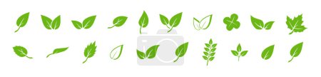 Green leaf icons set. Elements design for natural, eco, vegan. Leaves icon on isolated background. Collection green leaf. Vector illustration