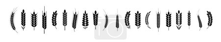 Illustration for Wheat Ears Icons and Logo Set. For Identity Style. Organic wheat, bread agriculture. Vector illustration - Royalty Free Image
