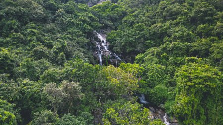 Photo for A Little Hawaii Falls, TKO hong kong - Royalty Free Image