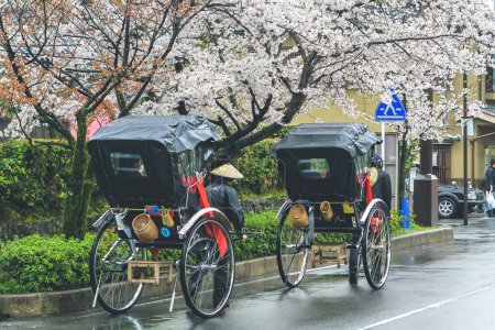 Photo for Visitors ride a rickshaw in Arashiyama, Kyoto, Japan. 11 April 2012 - Royalty Free Image