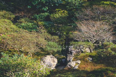 Photo for Shining Mercy or Jisho-Ji seen through trees and water - Royalty Free Image