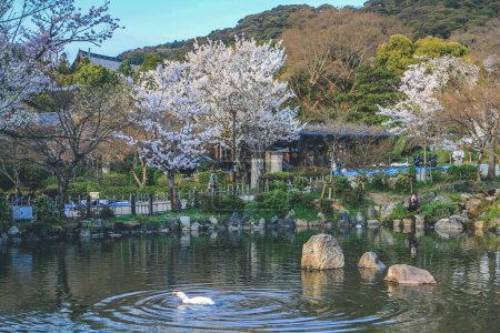 Foto de El paisaje del parque de maruyama en kyoto en Japón - Imagen libre de derechos