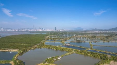 Téléchargez les photos : The landscape of Fung Lok Wai Fish Pond 6 Jan 2023 - en image libre de droit