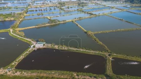 Téléchargez les photos : The landscape of Fung Lok Wai Fish Pond 6 Jan 2023 - en image libre de droit
