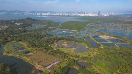Téléchargez les photos : The landscape of Fung Lok Wai Fish Pond 6 Jan 2022 - en image libre de droit