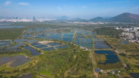 Téléchargez les photos : The landscape of Fung Lok Wai Fish Pond 6 Jan 2022 - en image libre de droit