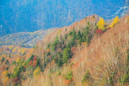 Téléchargez les photos : Mt Nishi-hotaka-dake au Japon-Alpes Fin d'après-midi automne - en image libre de droit
