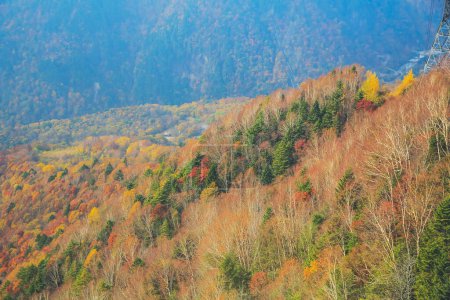 Photo for Mt Nishi-hotaka-dake in Japan-Alps Late afternoon fall - Royalty Free Image