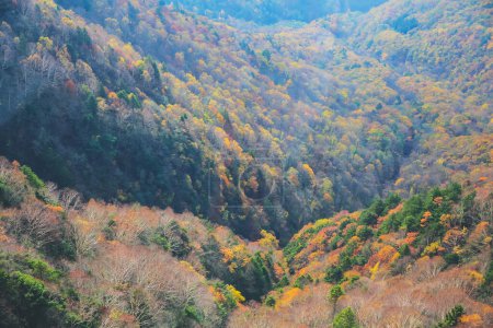 Téléchargez les photos : Mt Nishi-hotaka-dake au Japon-Alpes Fin d'après-midi automne - en image libre de droit