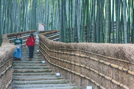 Foto de 2 nov 2013 Bosque de bambú en Adashino Nenbutsu-ji Japón, Arashiyama - Imagen libre de derechos