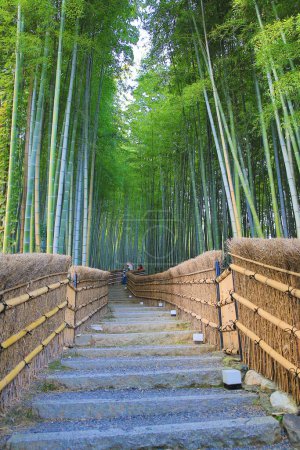 Foto de Bosque de bambú en Adashino Nenbutsu-ji Japón, Arashiyama - Imagen libre de derechos