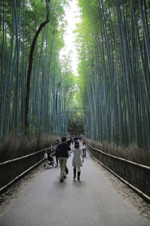 Foto de El bosque de bambú Arashiyama, en kyoto Japón 2 Nov 2013 - Imagen libre de derechos