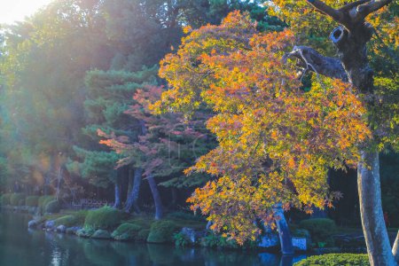 Photo for The landscape of Kenroku Garden, Kanazawa, Japan 1 Nov 2013 - Royalty Free Image