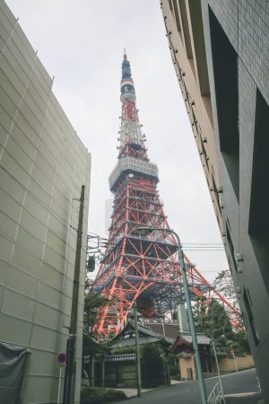 Photo for Famous red Tokyo Tower. Landmark of Japanese 3 Nov 2013 - Royalty Free Image