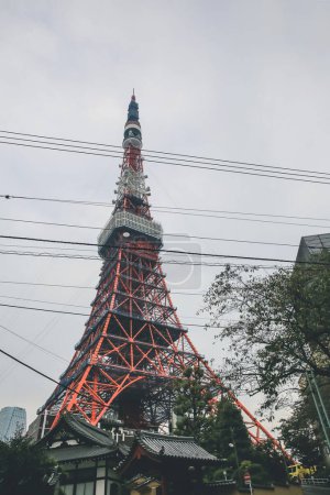 Photo for Famous red Tokyo Tower. Landmark of Japanese 3 Nov 2013 - Royalty Free Image