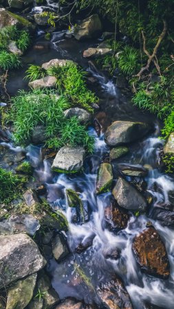 Téléchargez les photos : Une rivière de montagne sauvage coulant à travers la pierre - en image libre de droit