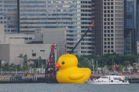 Téléchargez les photos : Canard géant en caoutchouc apporte de la joie, sourit partout où il flotte, 18 juin 2023 - en image libre de droit