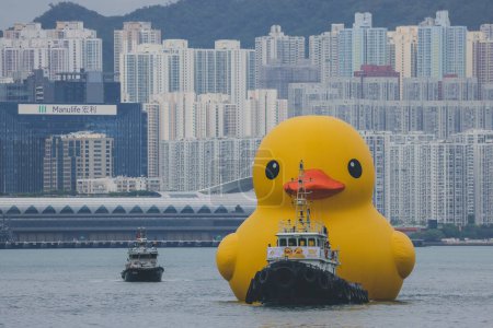 Téléchargez les photos : Canard géant en caoutchouc apporte de la joie, sourit partout où il flotte, 18 juin 2023 - en image libre de droit