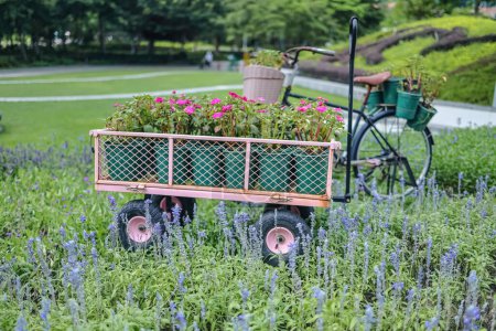 Téléchargez les photos : Cheerful flower bed with a charming bicycle parked - en image libre de droit