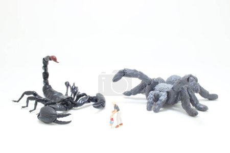 Foto de Una figura negra Escorpión lucha contra la araña - Imagen libre de derechos