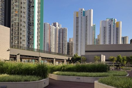 Foto de Jardín del cielo en la azotea del condominio en Hoi Tat Estate Ago 3 2023 - Imagen libre de derechos
