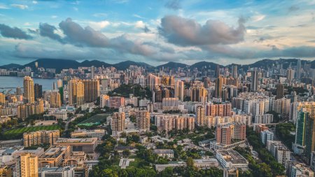 Téléchargez les photos : A Kowloon Tong District of Urban Elegance, 12 août 2023 12 août 2023 - en image libre de droit