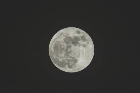 Photo for The Full moon on the dark night - Royalty Free Image