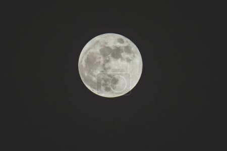 Téléchargez les photos : La pleine lune dans la nuit noire - en image libre de droit