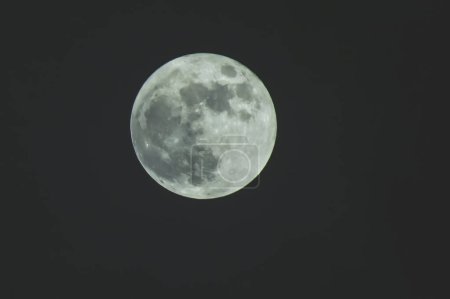 Téléchargez les photos : La pleine lune dans la nuit noire - en image libre de droit