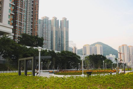 Téléchargez les photos : Le paysage de Tseung Lam Highway Garden Oct 15 2023 - en image libre de droit