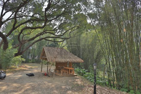 Téléchargez les photos : Un making of maison en bambou au parc 8 Fév 2015 - en image libre de droit