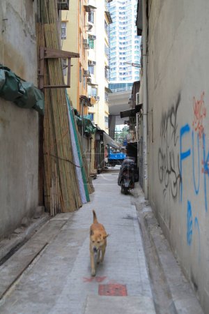 Téléchargez les photos : Une ruelle côté désordre dans hong kong Feb 19 2015 - en image libre de droit