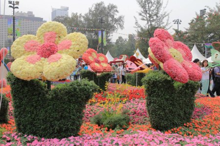 Foto de Espectáculo de flores hong kong en Victoria Park - Imagen libre de derechos