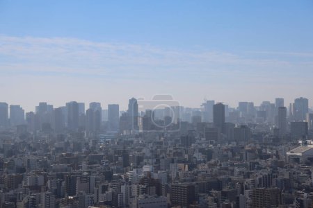Foto de Tokyo skyline desde la torre. Sumida. Tokio. Japón. Nov 30 2023 - Imagen libre de derechos
