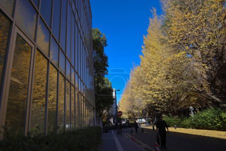 Foto de Nov 30 2023 Paisaje de la Universidad de Tokio, Japón - Imagen libre de derechos