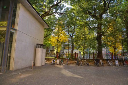 Photo for Nov 30 2023 landscape of The University of Tokyo, japan - Royalty Free Image