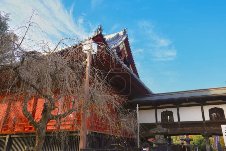Téléchargez les photos : Tokyo Japon, Kiyomizu Kannon do Temple à Ueno Park 30 Nov 2023 - en image libre de droit