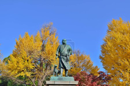 Téléchargez les photos : Parc Ueno Statue de Saigo Takamori et arbres de Gingo jaune automne30 Nov 2023 - en image libre de droit