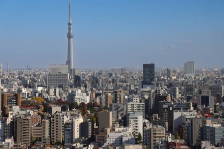 Foto de Vista del noreste desde Bunkyo ku, Tokio, Japón Nov 30 2023 - Imagen libre de derechos