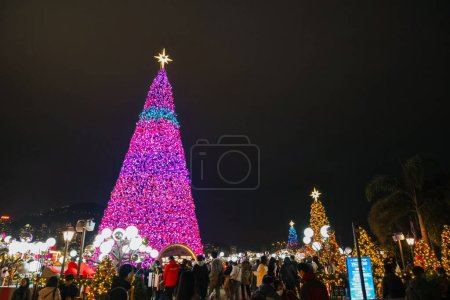 Foto de Dic 21 2023 Paisajes de Árbol de Navidad y decoración con horizonte - Imagen libre de derechos