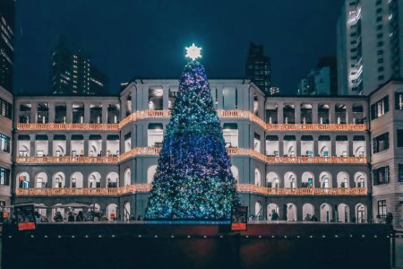 Photo for Dec 27 2023 city at night with illuminated Christmas tree and decorations - Royalty Free Image