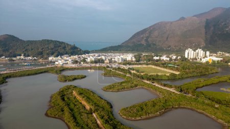 Photo for Dec 30 2023 Mangrove sea and mountain in Tai O - Royalty Free Image