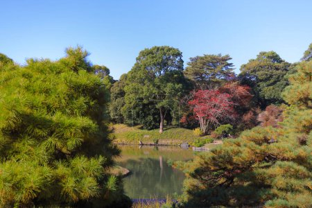 Foto de Nov 29 2023 Vista de otoño del Jardín Rikugien en Tokio, - Imagen libre de derechos