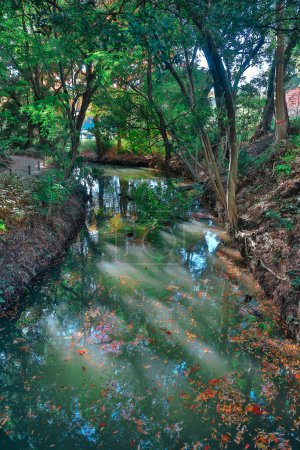 Photo for Nov 29 2023 a beautiful Japanese garden, Rikugi en Gardens - Royalty Free Image