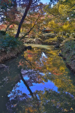 Foto de Nov 29 2023 Paisaje otoñal con río y follaje colorido - Imagen libre de derechos