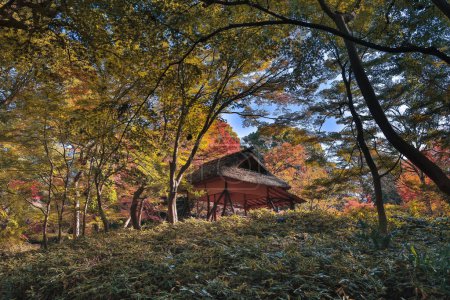 Foto de Nov 29 2023 el jardín zen en Rikugi en Gardens, Japón - Imagen libre de derechos