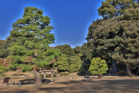 Foto de Nov 29 2023 Vista de otoño del Jardín Rikugien en Tokio, Japón - Imagen libre de derechos