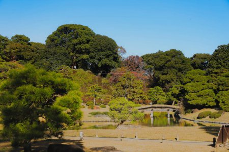 Téléchargez les photos : 29 nov. 2023 Vue d'automne du jardin Rikugien à Tokyo, Japon - en image libre de droit