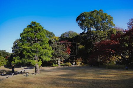 Foto de Nov 29 2023 Vista de otoño del Jardín Rikugien en Tokio, Japón - Imagen libre de derechos