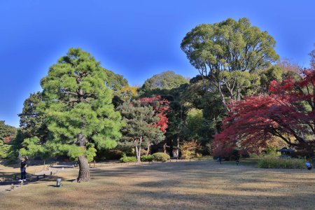 Téléchargez les photos : 29 nov. 2023 Vue d'automne du jardin Rikugien à Tokyo, Japon - en image libre de droit